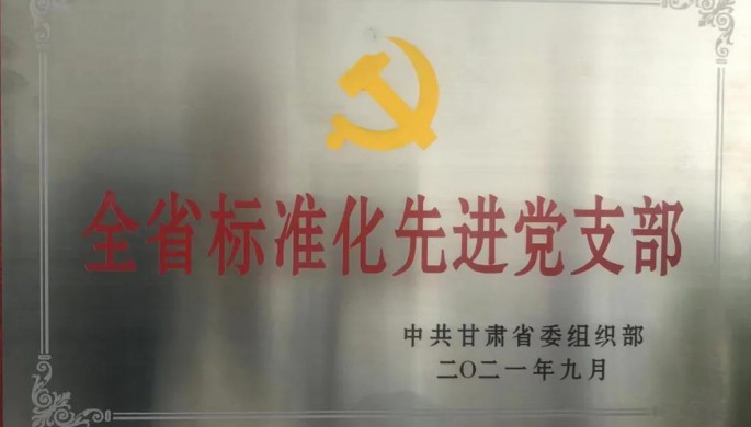 抓實黨建聚合力  先鋒引領(lǐng)促生產(chǎn)熱烈祝賀建筑設(shè)計院設(shè)計八所黨支部榮獲“全省標(biāo)準(zhǔn)化先進(jìn)黨支部”榮譽稱號